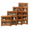 Outlet 🔥 Barrister Eagle Furniture Oak Ridge Customizable 32 In. Wide Lawyer Bookcase 😉