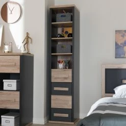 Best reviews of 😍 Cube Baxton Studio Pandora Modern And Contemporary Tall Dark Gray And Light Brown 4-Drawer Storage Cabinet 👏